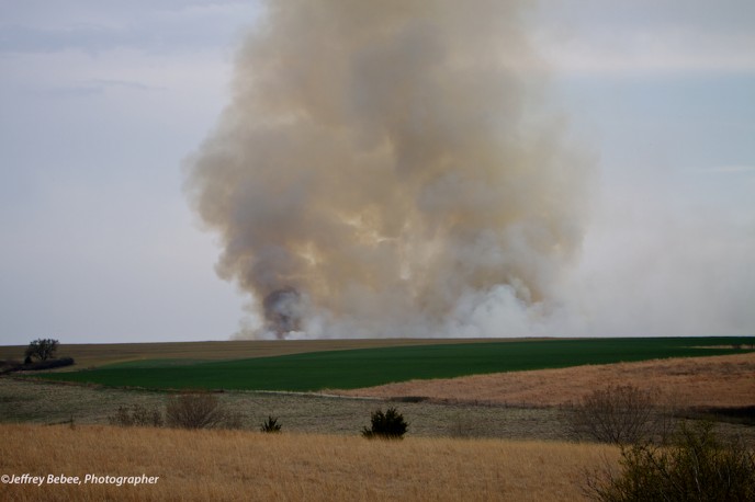 Prescribed Burn, Arapahoe Nebraska