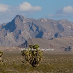 Nevada Desert