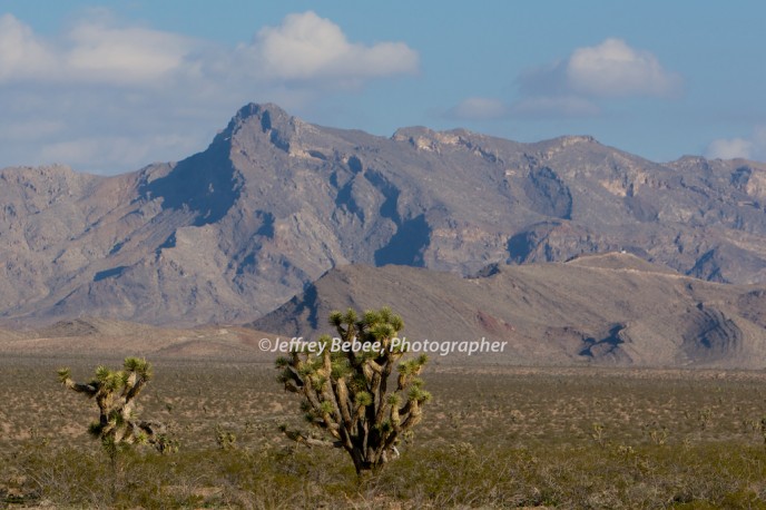 Nevada Desert